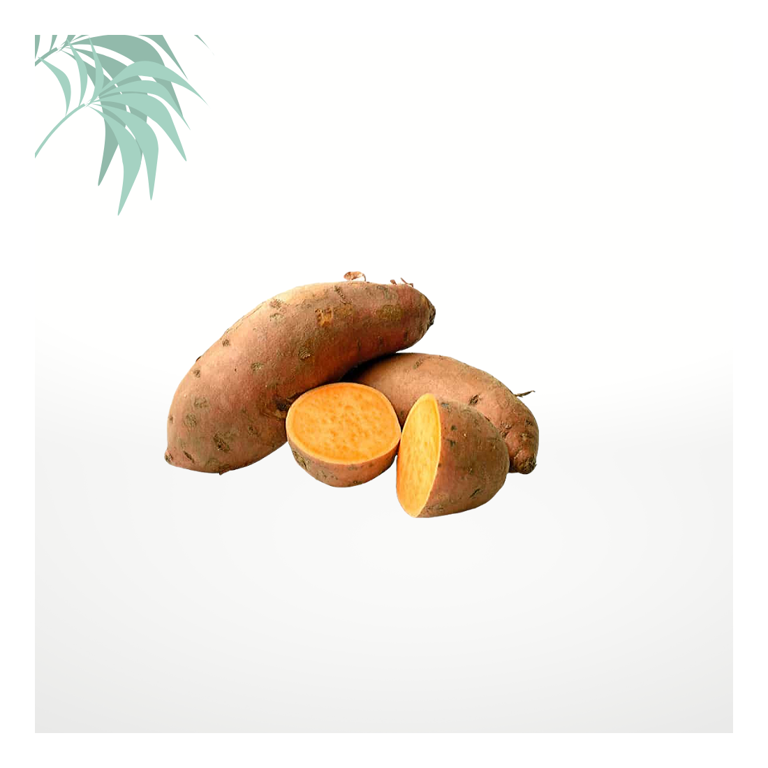 La patate douce, la plus tropicale des pommes de terre