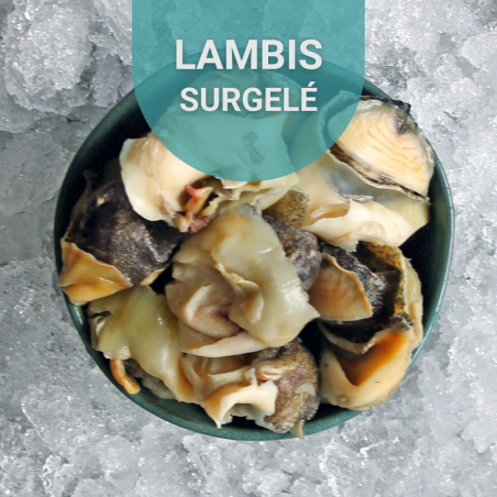 Lambis 500g